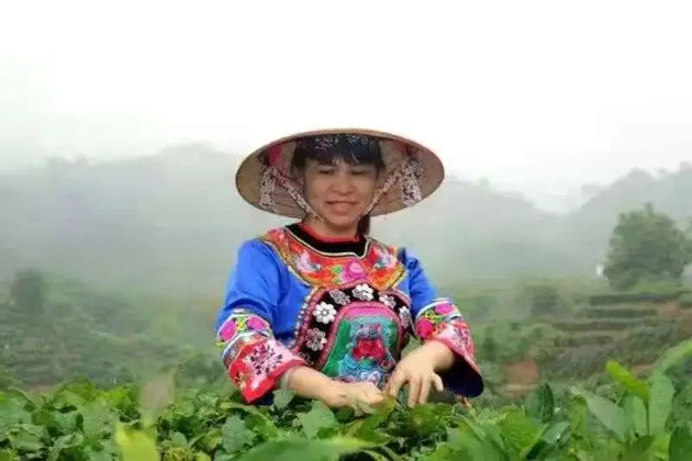 【梧州工匠】劉錦芳：鉆研和創(chuàng)新，帶領(lǐng)鄉(xiāng)親發(fā)家致富