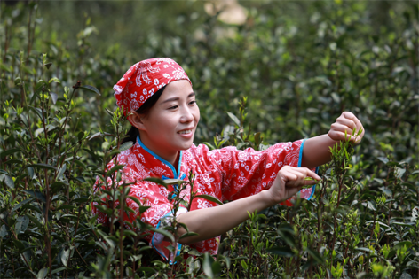 2022年“全國(guó)十佳農(nóng)民”揭曉 全國(guó)勞模石濡菲上榜！