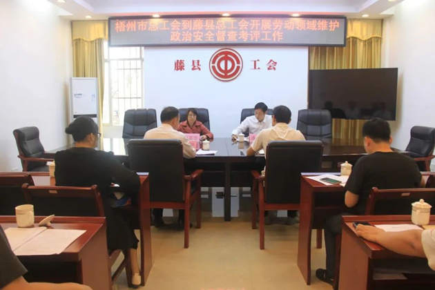 梧州市總工會(huì)領(lǐng)導(dǎo)到藤縣開展勞動(dòng)領(lǐng)域維護(hù)政治安全督查考評(píng)工作