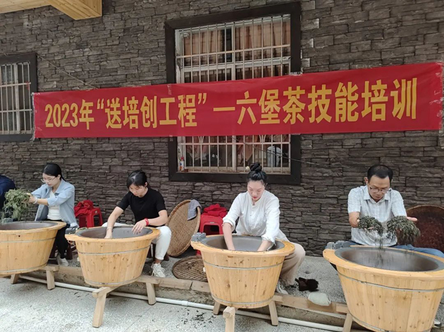 送培創(chuàng)到村屯 助就業(yè)添動力丨廣西梧州市六堡茶工匠學(xué)院六堡茶技能培訓(xùn)班成功舉辦