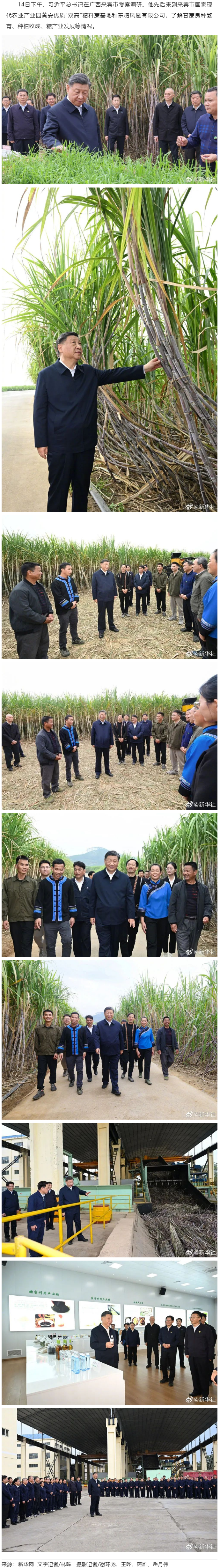習近平在廣西來賓市考察調研.png