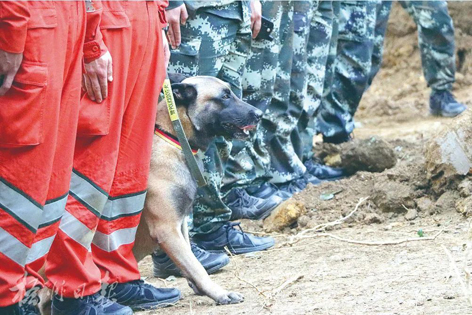 消防、武警、摩托車運(yùn)輸隊(duì)等多方力量聯(lián)合搜救｜東航客機(jī)墜毀事故救援現(xiàn)場(chǎng)直擊