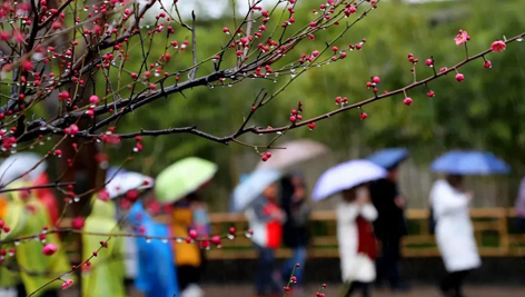 今日雨水！別忘了咱的老講究！