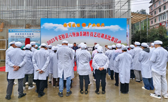 2025年蒼梧縣六堡油茶制作技藝培訓(xùn)及比賽活動(dòng)圓滿落幕！
