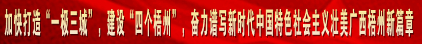 加快打造“一級(jí)三城市”，建設(shè)“四個(gè)梧州”，奮力譜寫(xiě)新時(shí)代中國(guó)特色社會(huì)主義壯美廣西梧州新篇章