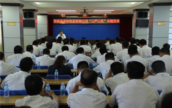 蒼梧縣水利電業(yè)有限公司開展 “三嚴(yán)三實(shí)”專題教育黨課